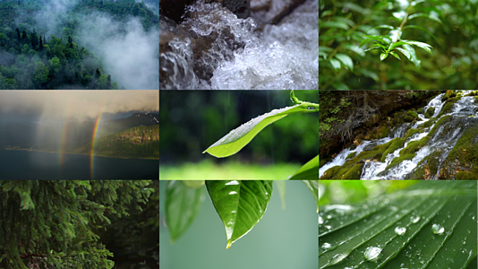 大自然雨林水滴瀑布合集视频的预览图